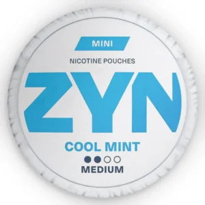 Zyn Cool Mint Pillow