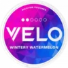 VELO Wintery Watermelon Mini