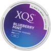 XQS Blueberry Mint 4mg